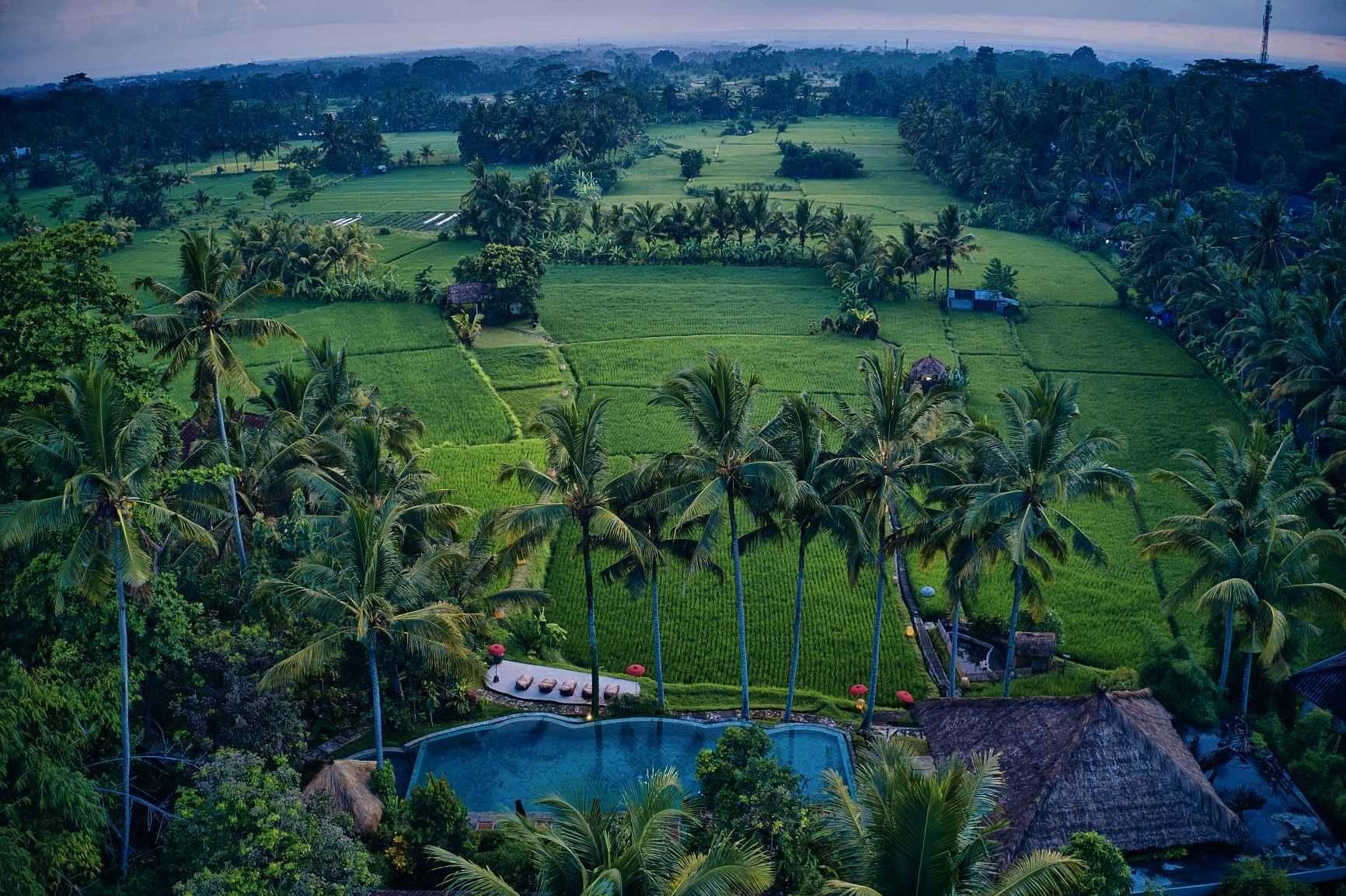 Mathis Retreat Ubud Exteriör bild