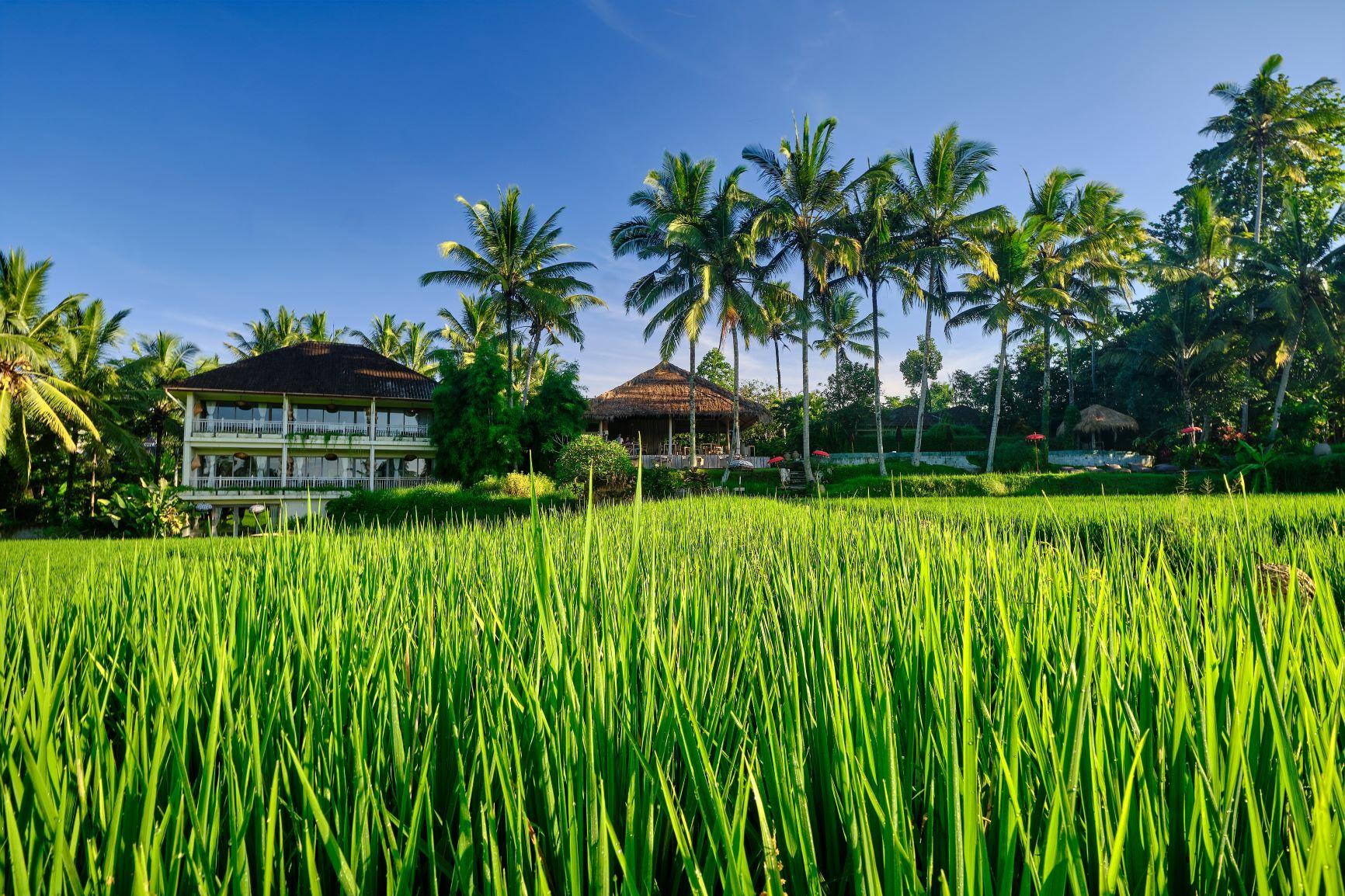 Mathis Retreat Ubud Exteriör bild