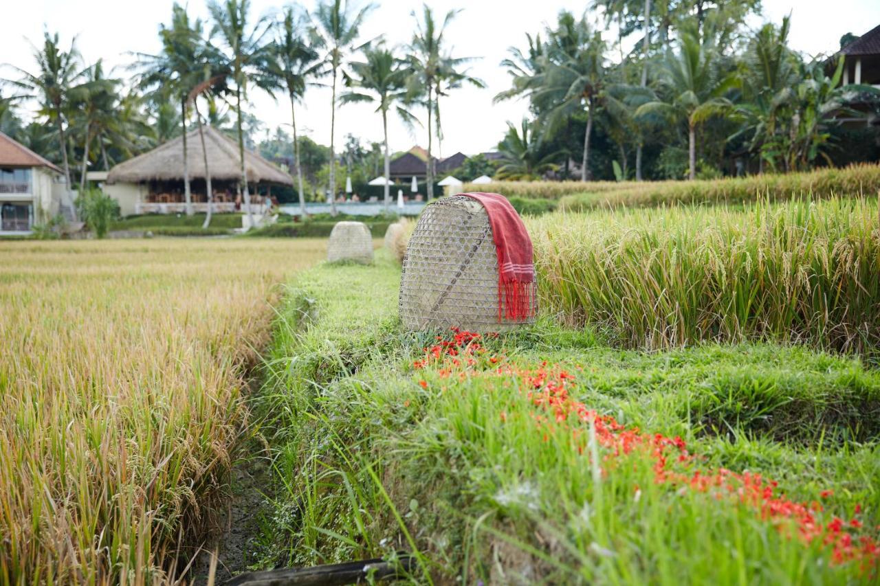 Mathis Retreat Ubud Exteriör bild